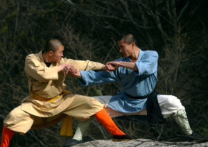 atencao-cuidadosa-na-perspectiva-kung-fu